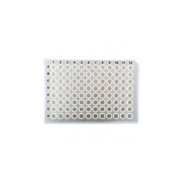 Scientific Specialties UltraFlux 96 Well Plate, Straight Sides, 10/pk, 10PK 248450 - main